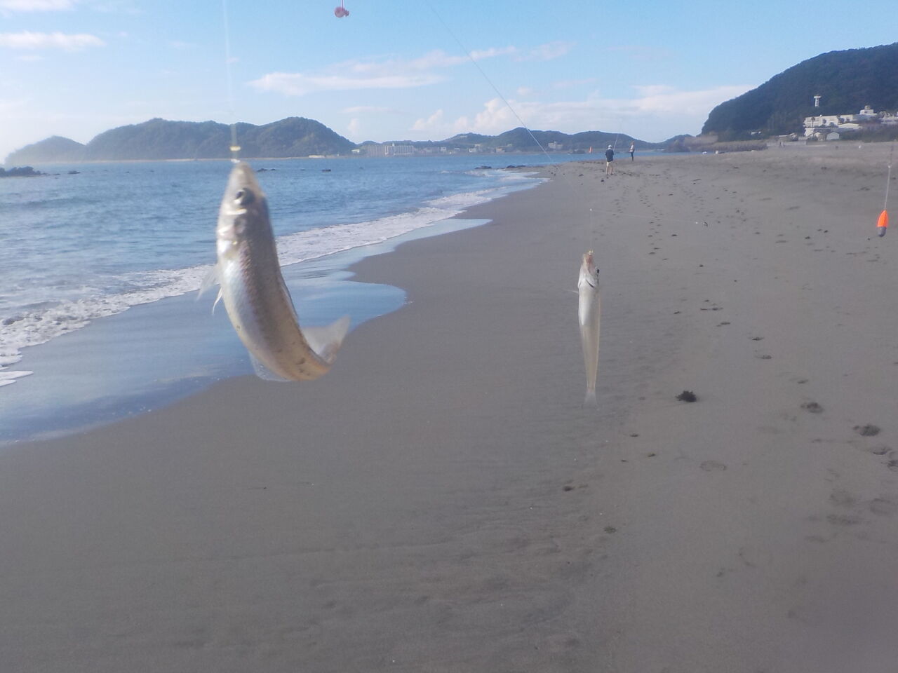 ８月１１日に鳴門 土佐泊へ あつじぃーの投げ釣り一筋