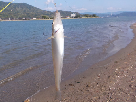 DSCN1439