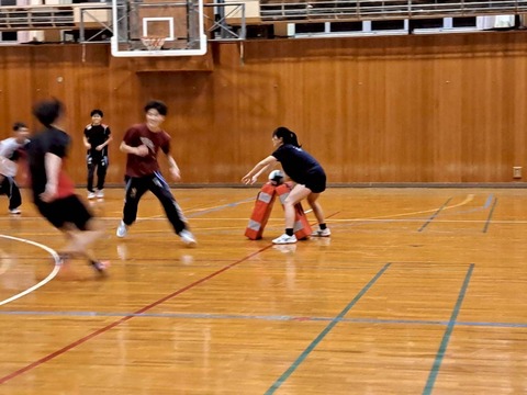 IMG_6537