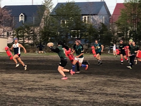 IMG_4540