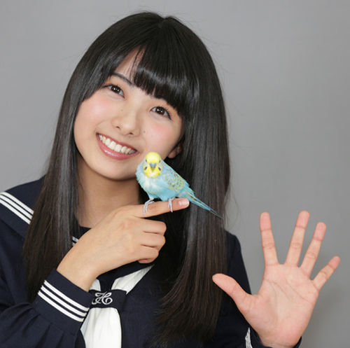 想定外 岡田栞奈のランクインに運営困惑か Hkt48ネットニュースまとめ