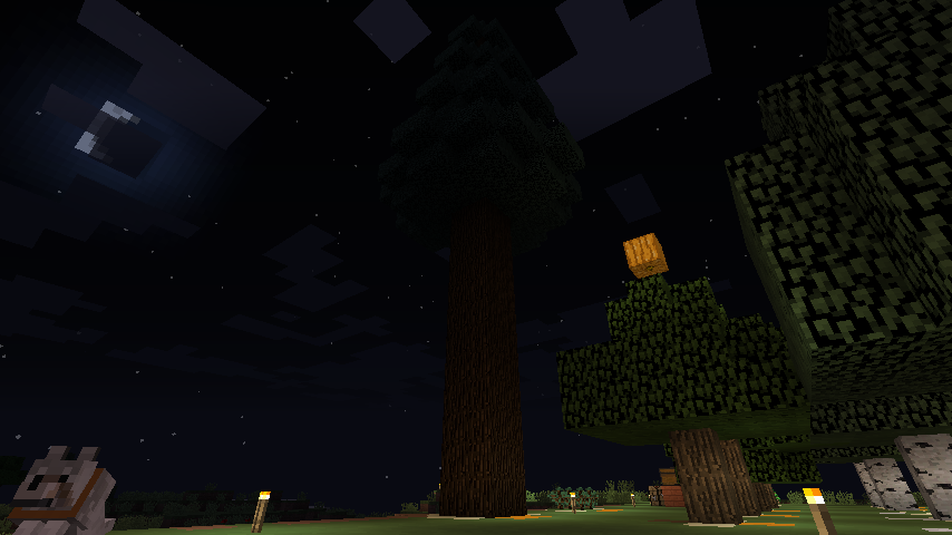 植林場を作る マインクラフトこつこつ開拓記