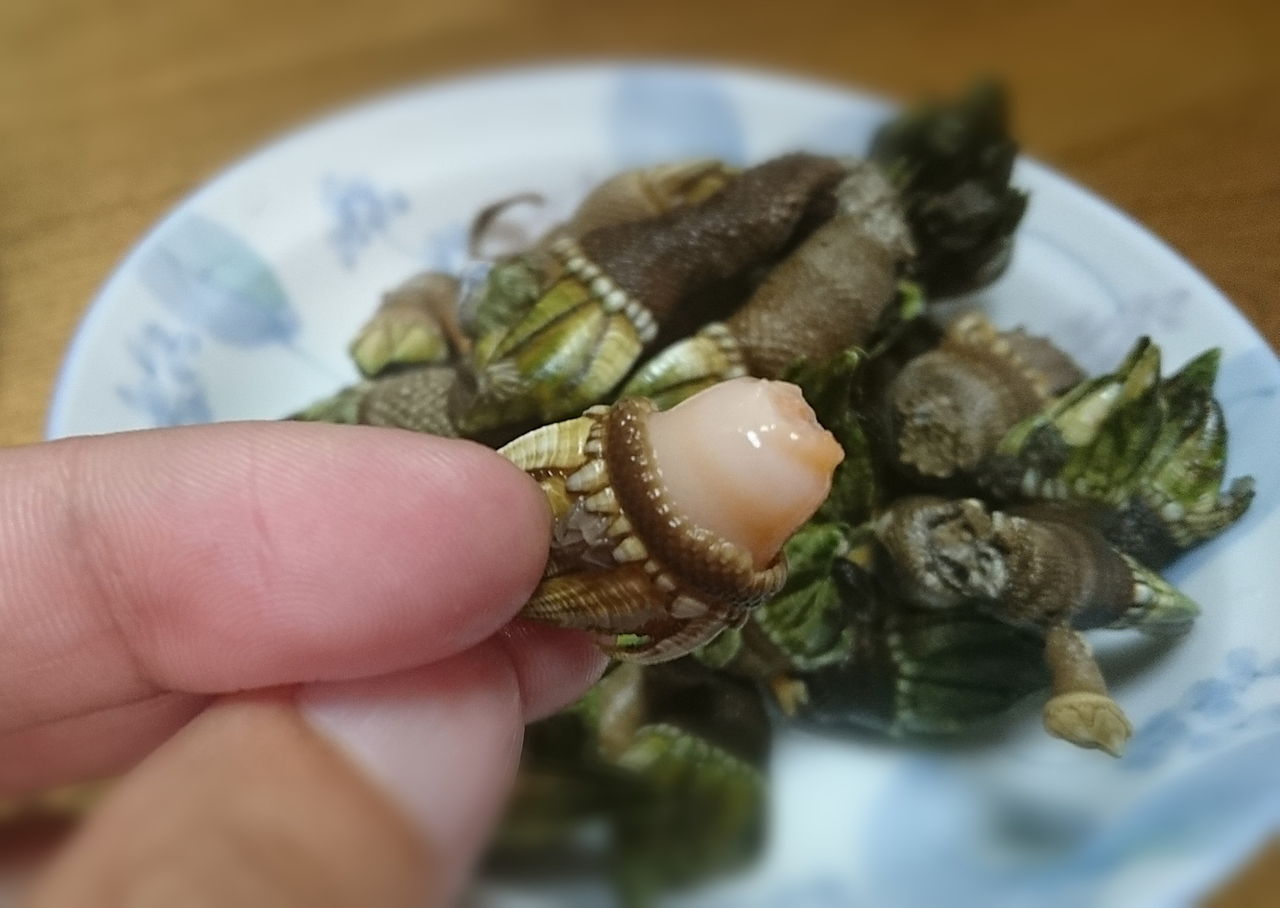 止まらなくなる味 亀の手 てげてげ日和