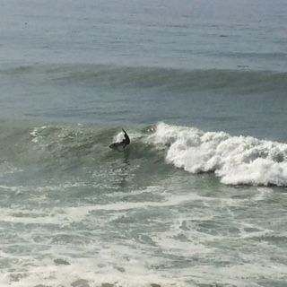 IMG_1112