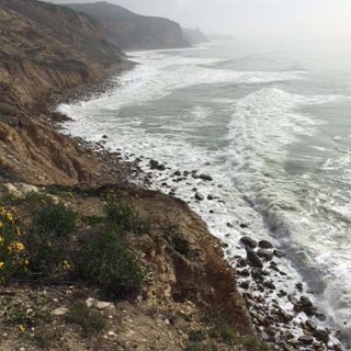 IMG_1105