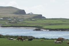 ireland_01