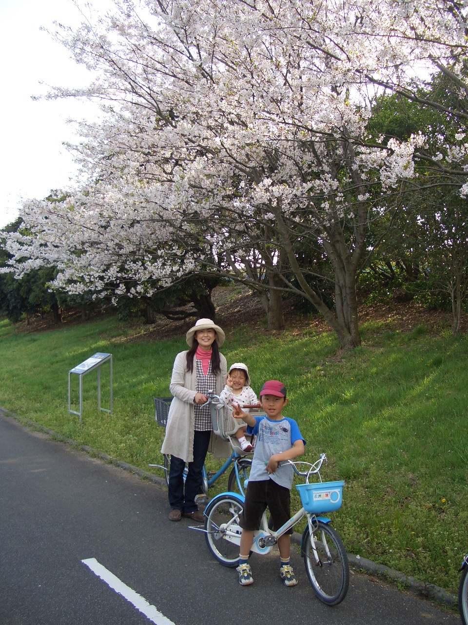 若洲海浜公園でお花見サイクリング A S Diary