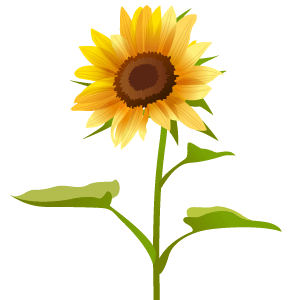 設計室夏期休業のお知らせ 7 26 鳥山設計のコラム Intermezzo