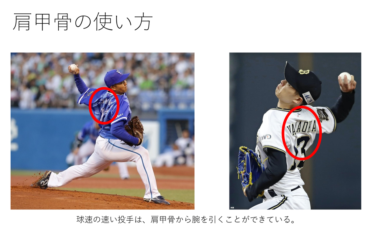 球速を上げる肩甲骨の使い方 チェックポイント Med野球 野球のトレーニングと治療についてー 球速を上げる肩甲骨の使い方 チェックポイント Med野球 野球のトレーニングと治療についてー