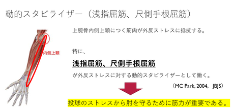 動的スタビライザー