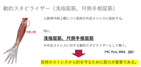 肘動的スタビライザー