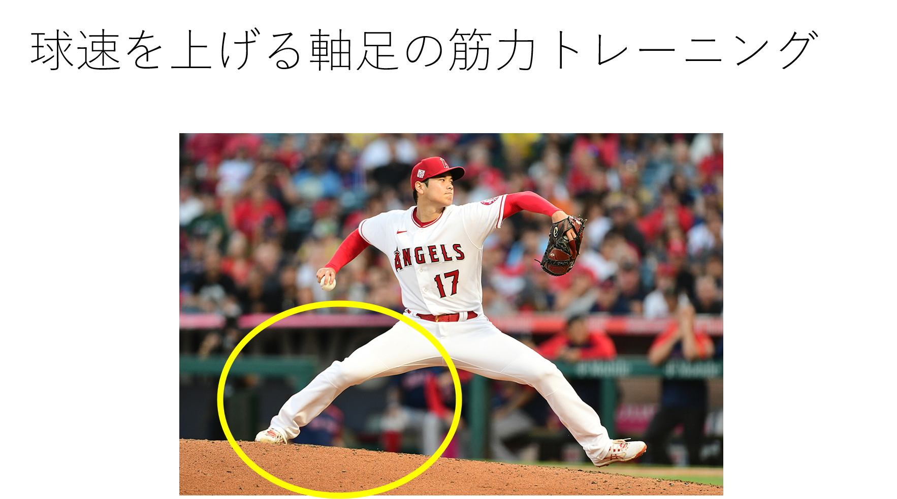 球速アップさせる筋トレメニュー5選 軸足編 Med野球 野球のトレーニングと治療についてー 球速アップさせる筋トレメニュー5選 軸足編 Med野球 野球のトレーニングと治療についてー