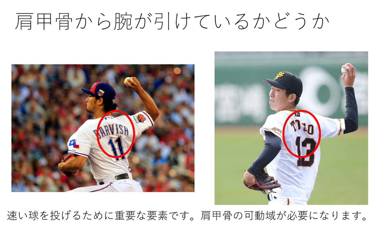 球速を上げる肩甲骨の使い方 チェックポイント Med野球 野球のトレーニングと治療についてー 球速を上げる肩甲骨の使い方 チェックポイント Med野球 野球のトレーニングと治療についてー