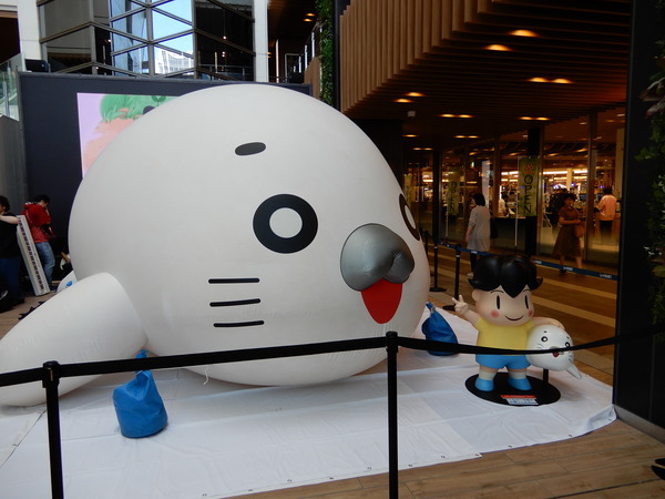 DSCN2551