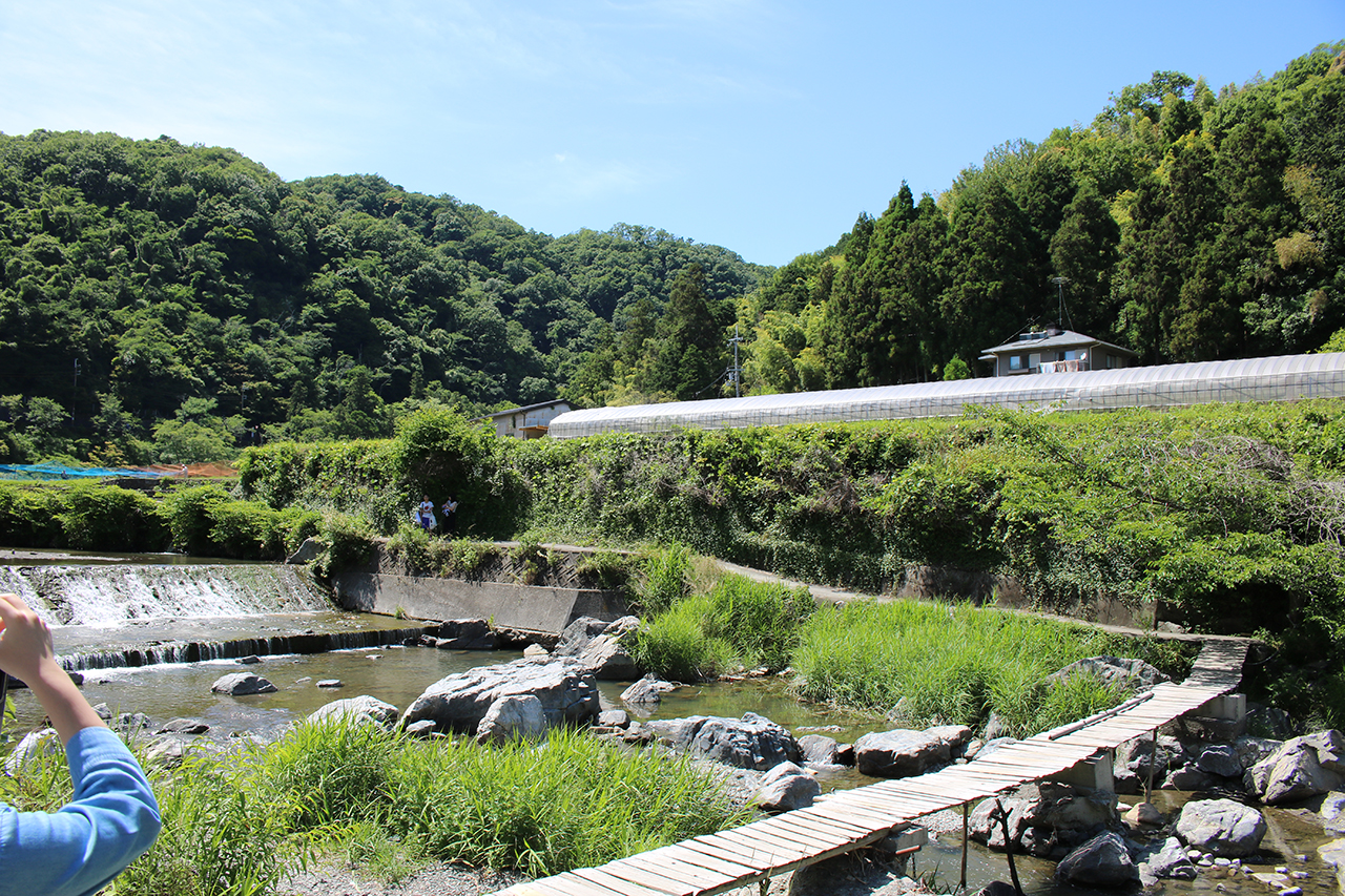 摂津峡 三好の里 バーベキューガーデン 飛行船世界 ブログ