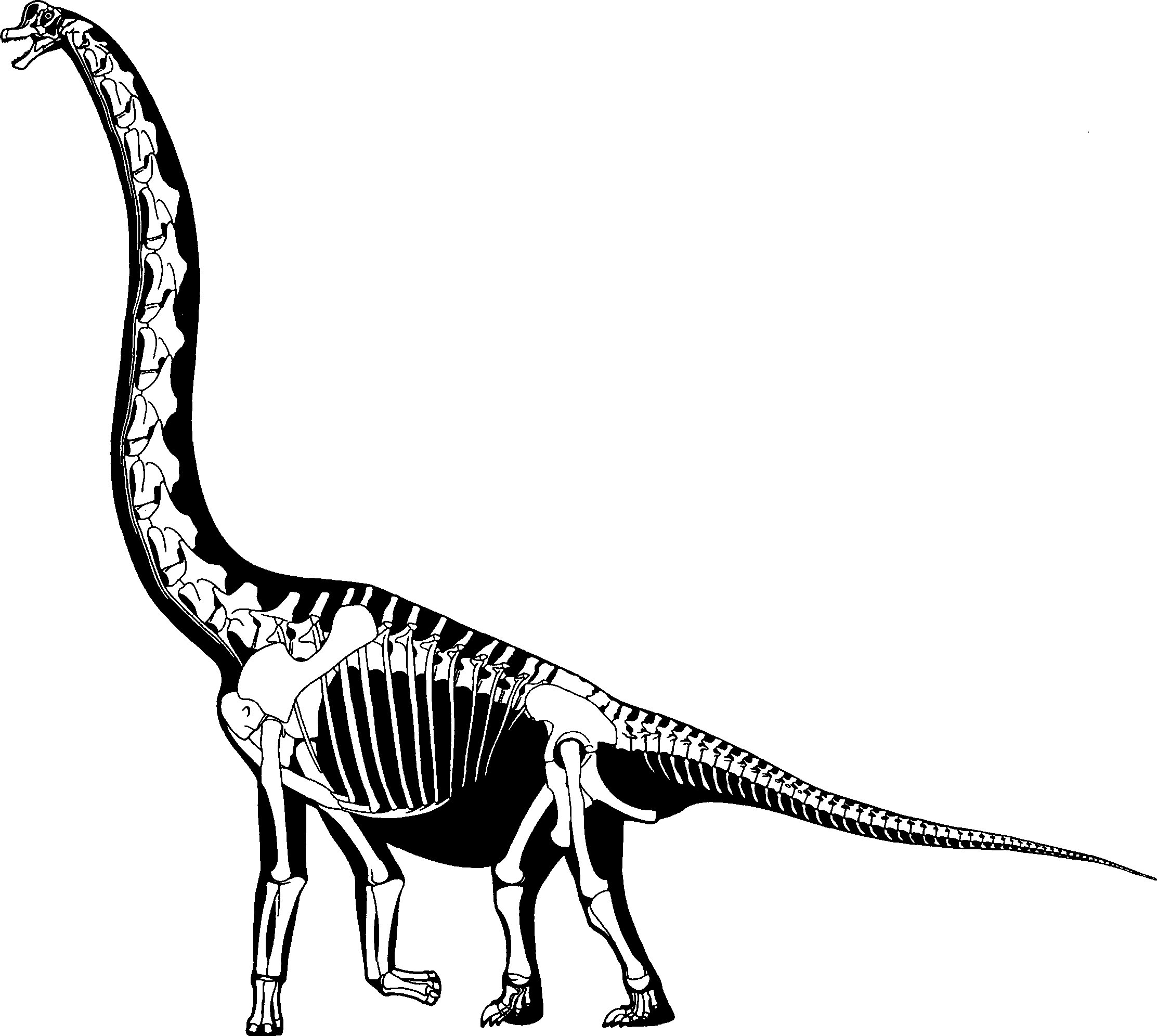 ブラキオサウルス今昔 飛行船世界 ブログ ブラキオサウルス今昔 飛行船世界 ブログ