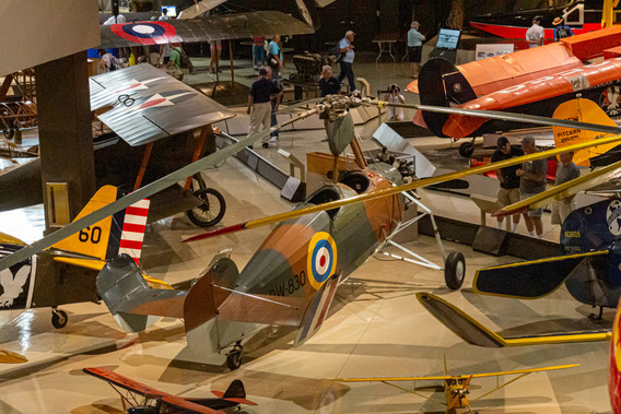 53317988561_eebda37d91_o