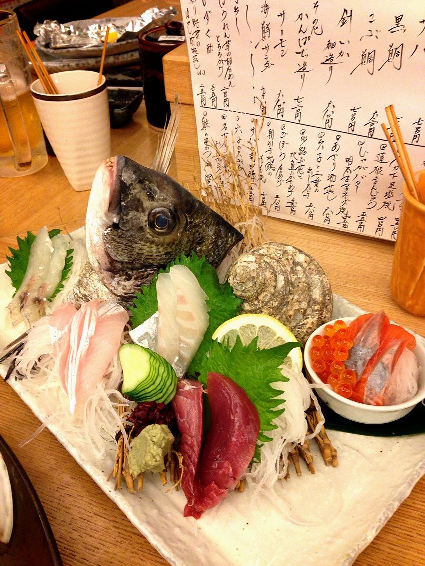 名古屋フグがショウサイフグだったとは フィッシャーマンズ日記 名古屋フグがショウサイフグだったとは フィッシャーマンズ日記