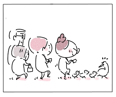 かるがも6