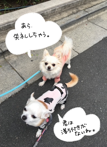 はる5