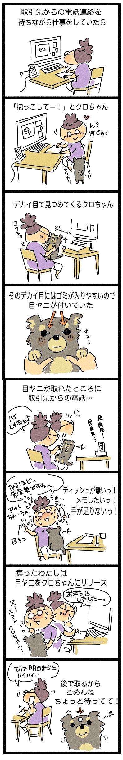 クロ目やに