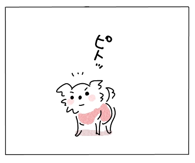きゃー3