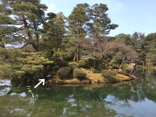 兼六園1