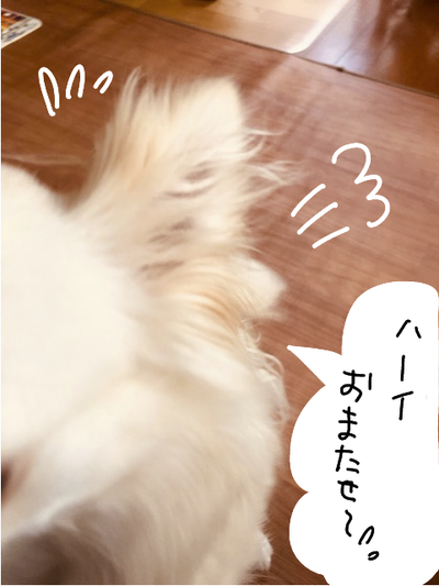 あめ6