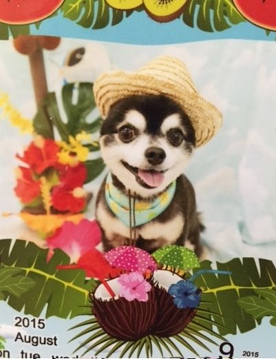 2015夏クロ