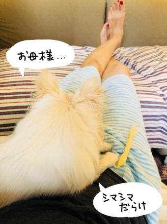 さんだる1