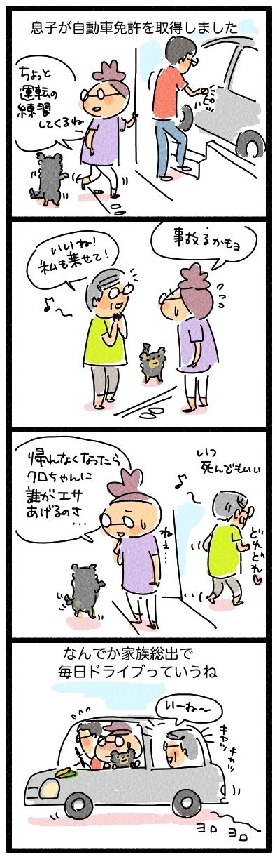 正　免許とりたて