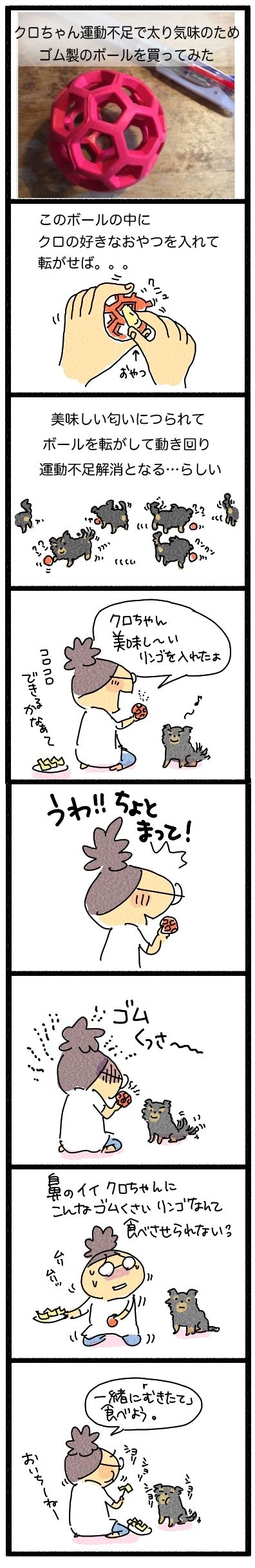 ぼーるのおもちゃ