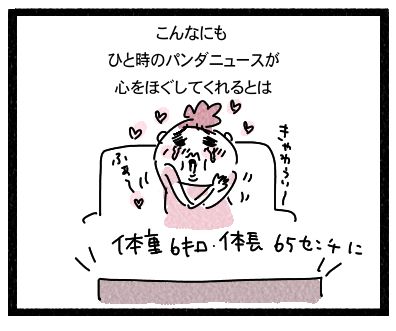 ニュース4