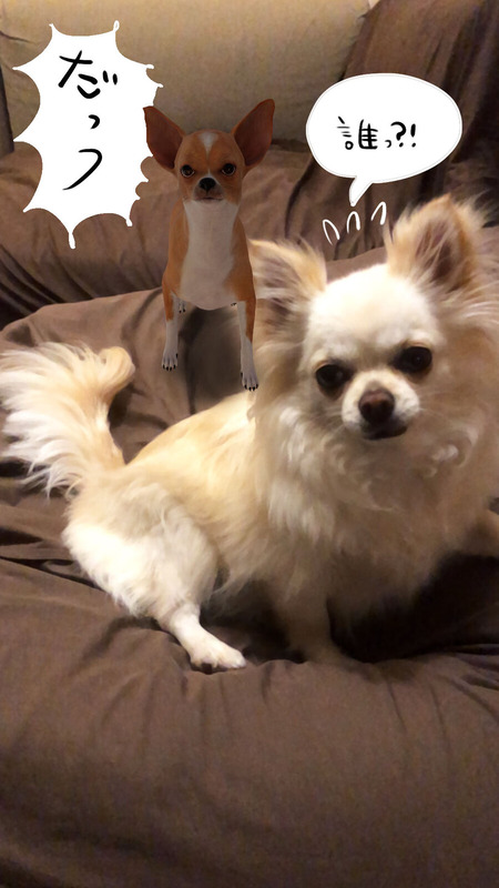 だっ