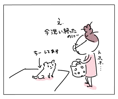 湿布2