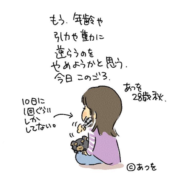 $あつをの4コマ漫画:ねりきり.おはぎ.さくらもち