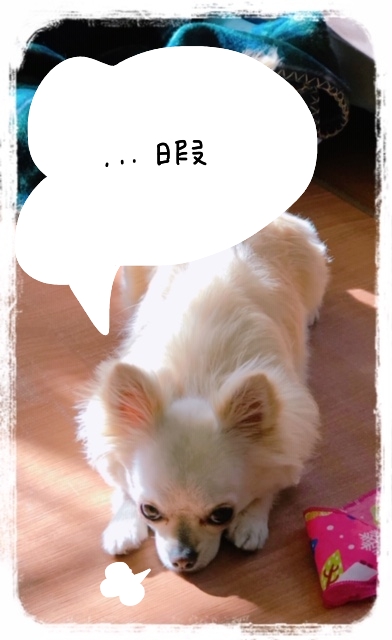 ひま1