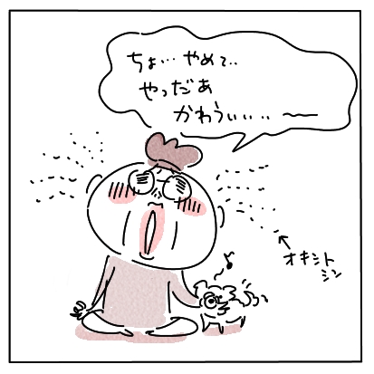 よが6