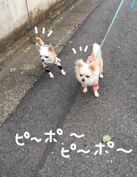 はる3