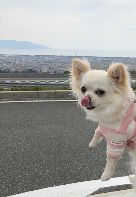 どらいぶ2