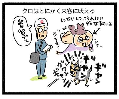 星柄2