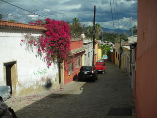 DSCN3081