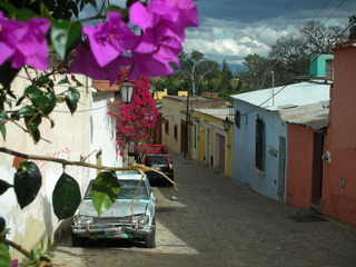 DSCN3079