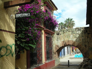 DSCN3070
