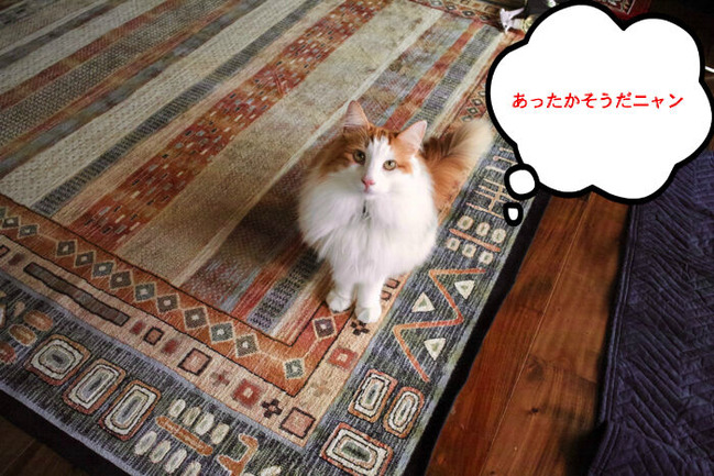 BlogPaint
