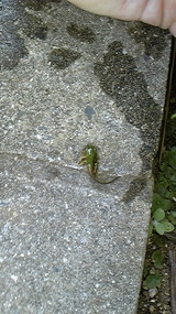 d25cf791.jpg
