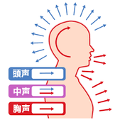 発声の仕組み 画像1