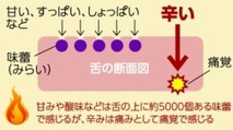 3bdf823f5e6e551010f4cd250fd80a90-300x168