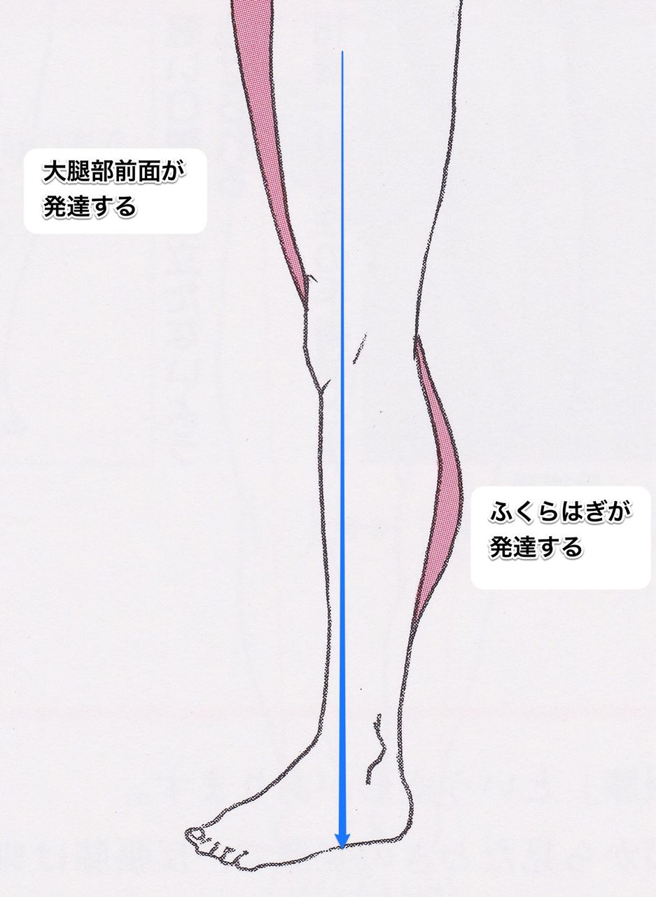 引き締まった脹脛 ふくらはぎ を 治療と運動 Attivo アッティーボ 大阪