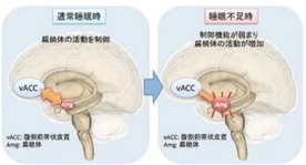 db911e5c51b3d2beab227fe7dd7a4535-300x162